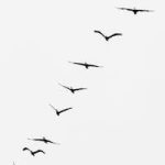 Progress Pathways Package